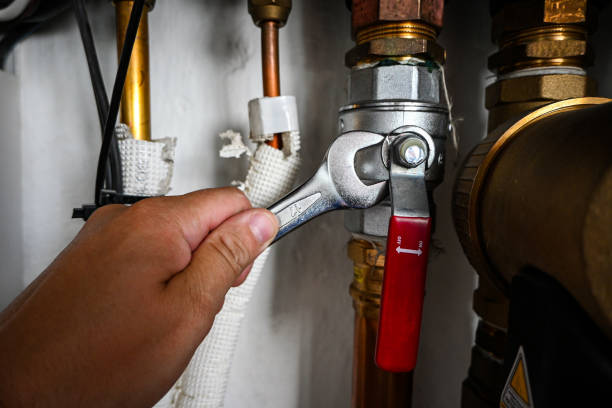 Best Residential Plumbing Services  in Elburn, IL